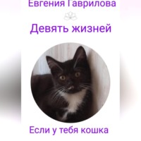 . Девять жизней. Если у тебя кошка.