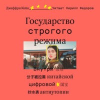 . Государство строгого режима. Внутри китайской цифровой антиутопии