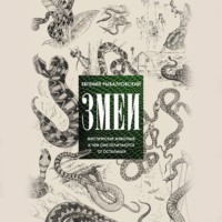 . Змеи. Мистические животные и чем они отличаются от остальных