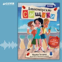 . Дивноморские сыщики. Дело о пляжном воре