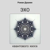 Роман Викторович Душкин. Эхо квантового хаоса
