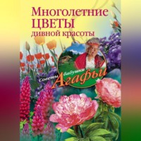 Агафья Звонарева. Многолетние цветы дивной красоты. Выращивание, размножение, уход