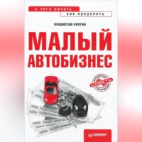 Владислав Волгин. Малый автобизнес: с чего начать, как преуспеть