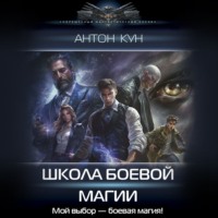 . Школа боевой магии. Том 1