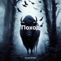 . Поход