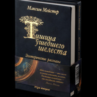 Максим Мейстер. Тишина ушедшего шелеста