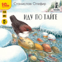 . Иду по тайге