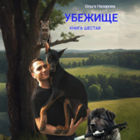 Ольга Назарова. Убежище. Книга шестая