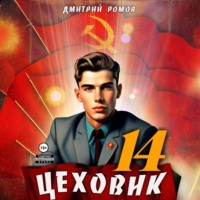Дмитрий Ромов. Цеховик. Книга 14. Воин света