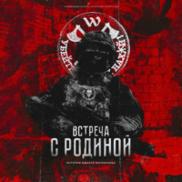 . Встреча с родиной