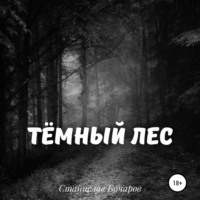 . Тёмный лес