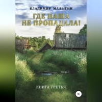 Владимир Владиславович Малыгин. Где наша не пропадала – 3