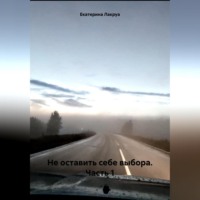 . Не оставить себе выбора. Часть 1
