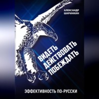 . Видеть. Действовать. Побеждать. Издание второе. Эффективность по-русски