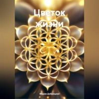 . Цветок жизни