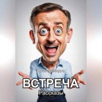 . Встреча. Сборник рассказов
