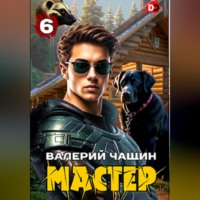 Валерий Чащин. Мастер 6