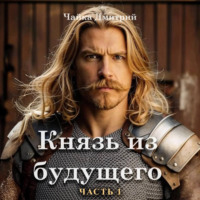 Дмитрий Чайка. Князь из будущего. Часть 1