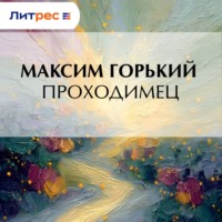 . Проходимец