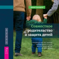 . Совместное родительство и защита детей: руководство по теории привязанности для воспитания детей на два дома