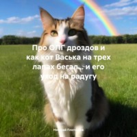. Про ОПГ дроздов и как кот Васька на трех лапах бегал… и его уход на радугу