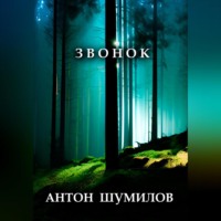 . Звонок
