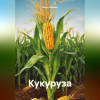 . Кукуруза