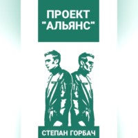 . Проект «Альянс»