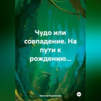 . Чудо или совпадение. На пути к рождению…