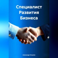 Александр Владимирович Чичулин. Специалист Развития Бизнеса