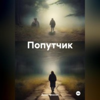 . Попутчик