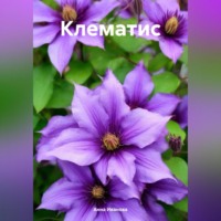 . Клематис