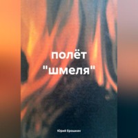 . полёт «шмеля»