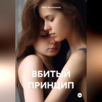 Олег Молоканов. ВБИТЫЙ ПРИНЦИП