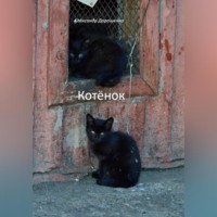 . Котёнок