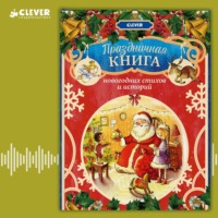 Группа авторов. Праздничная книга новогодних стихов и историй