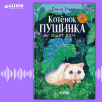 . Котенок Пушинка ищет свой дом