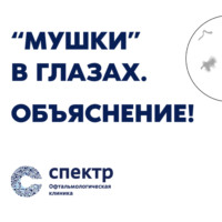 Арсений Александрович Кожухов. «Мушки в глазах». ОБЪЯСНЕНИЕ! Реально ли избавиться?