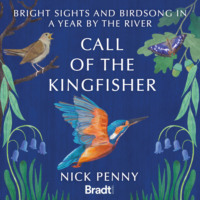 . Call of the Kingfisher - Bright sights and birdsong in a year by the river (Unabridged)