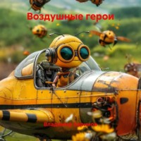 . Воздушные герои