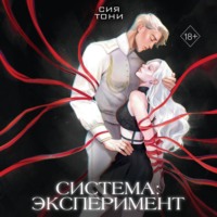 . Система: эксперимент