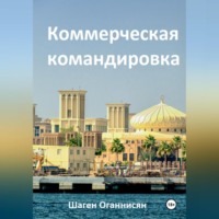 . Коммерческая командировка