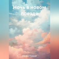 . Ночь в новом поезде