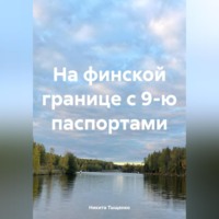 . На финской границе с 9-ю паспортами