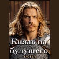 Дмитрий Чайка. Князь из будущего. Часть 2