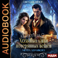 . Хозяйка лавки потерянных вещей. Серия 3. Мечта двуликого