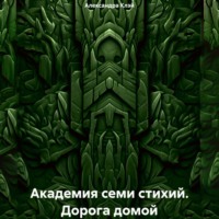 Александра Клэй. Академия семи стихий. Дорога домой