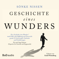 S?nke Nissen. Geschichte eines Wunders - Eine authentische Hoffnungsgeschichte (Ungek?rzt)