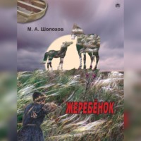Михаил Шолохов. Жеребенок