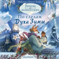 . Записки из Зелёного Бора. По следам Духа Зимы